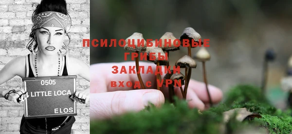 эйфоретик Коряжма