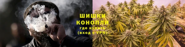 PSILOCYBIN Костерёво