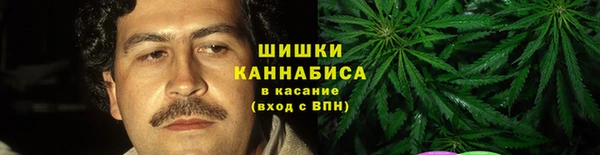 PSILOCYBIN Костерёво
