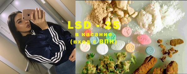 PSILOCYBIN Костерёво