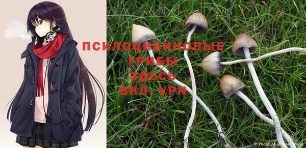 PSILOCYBIN Костерёво