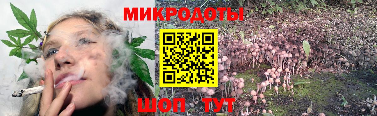 Псилоцибиновые грибы прущие грибы  Галлюциногенные грибы Magic Shrooms  Вход с VPN  Кольчугино 