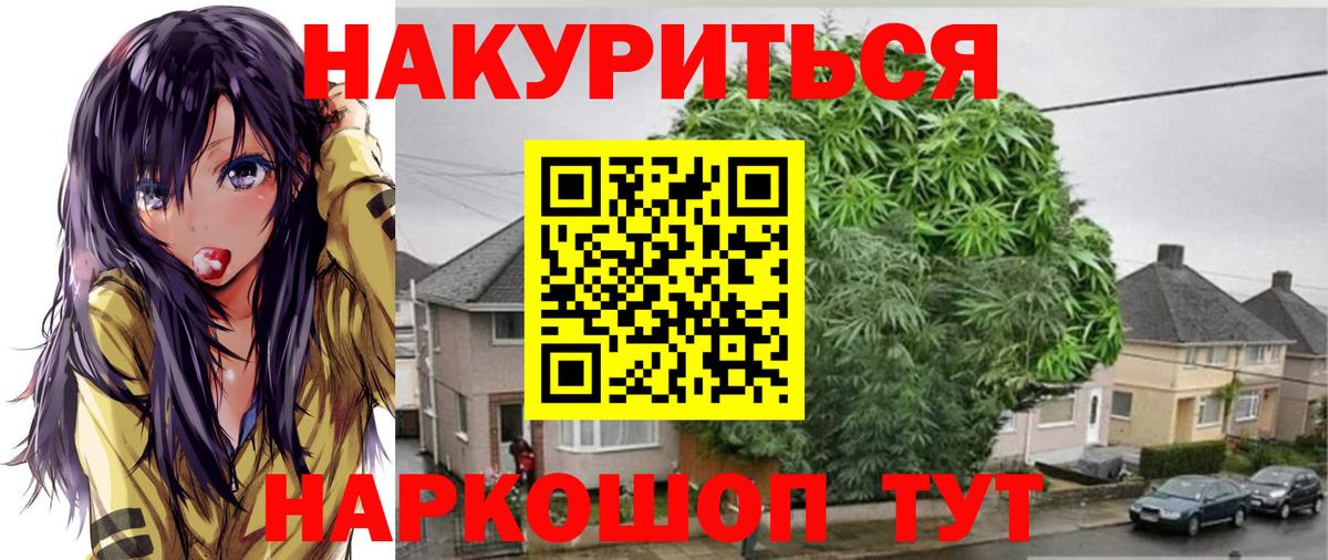 Каннабис White Widow  Вход с VPN  Конопля планчик  Кольчугино  Бошки Шишки VHQ 